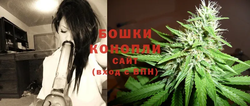 Бошки марихуана THC 21%  закладки  Инсар 